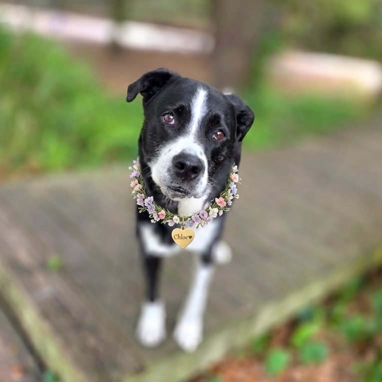 Chloe