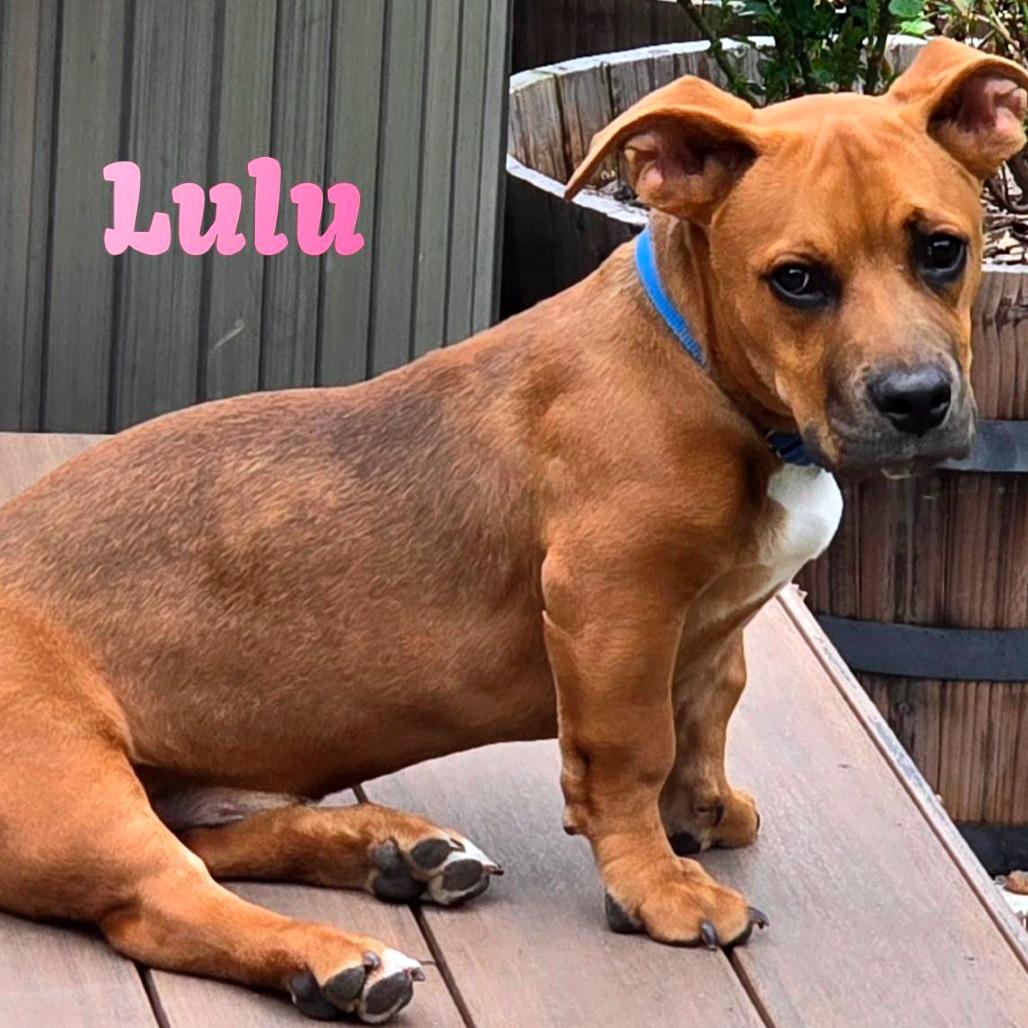 Lulu R