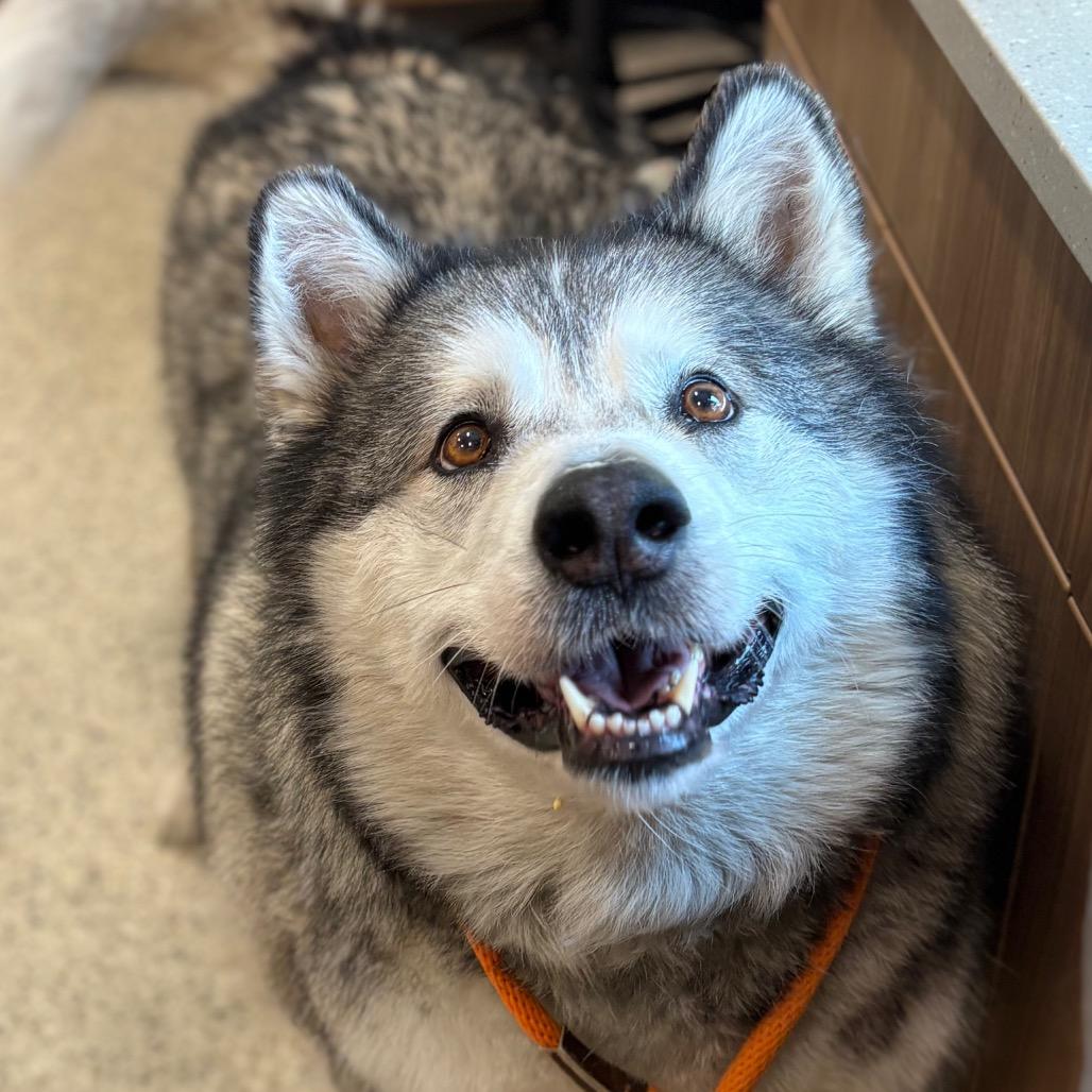 Kenai