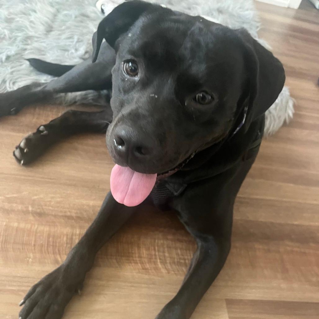 Duke