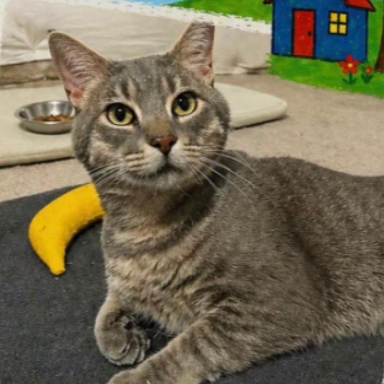 Pete