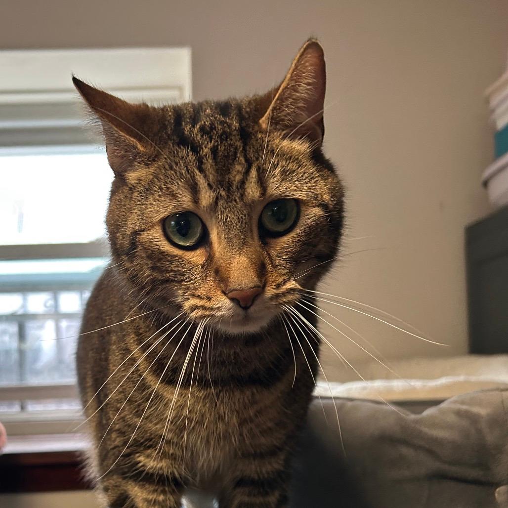 Leo
