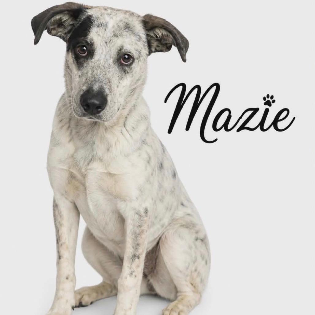562 (2026) Mazie