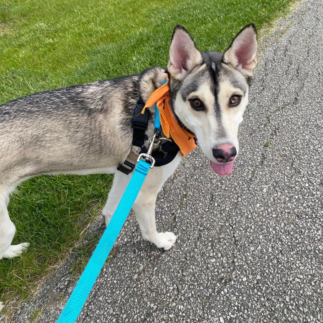 Freya