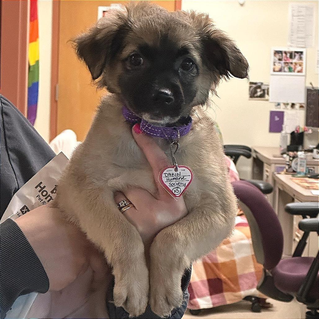 Lucy- In Foster!!