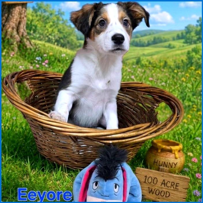 Eeyore