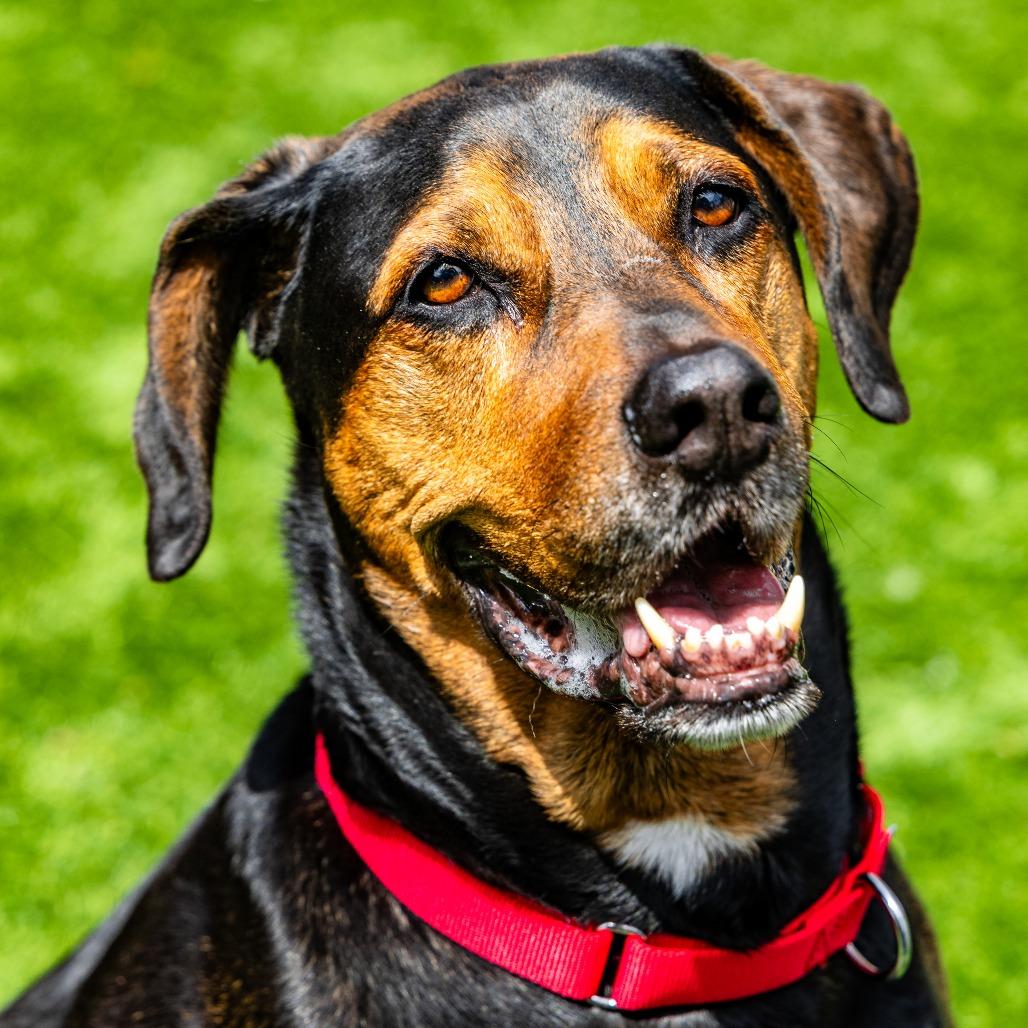 Max