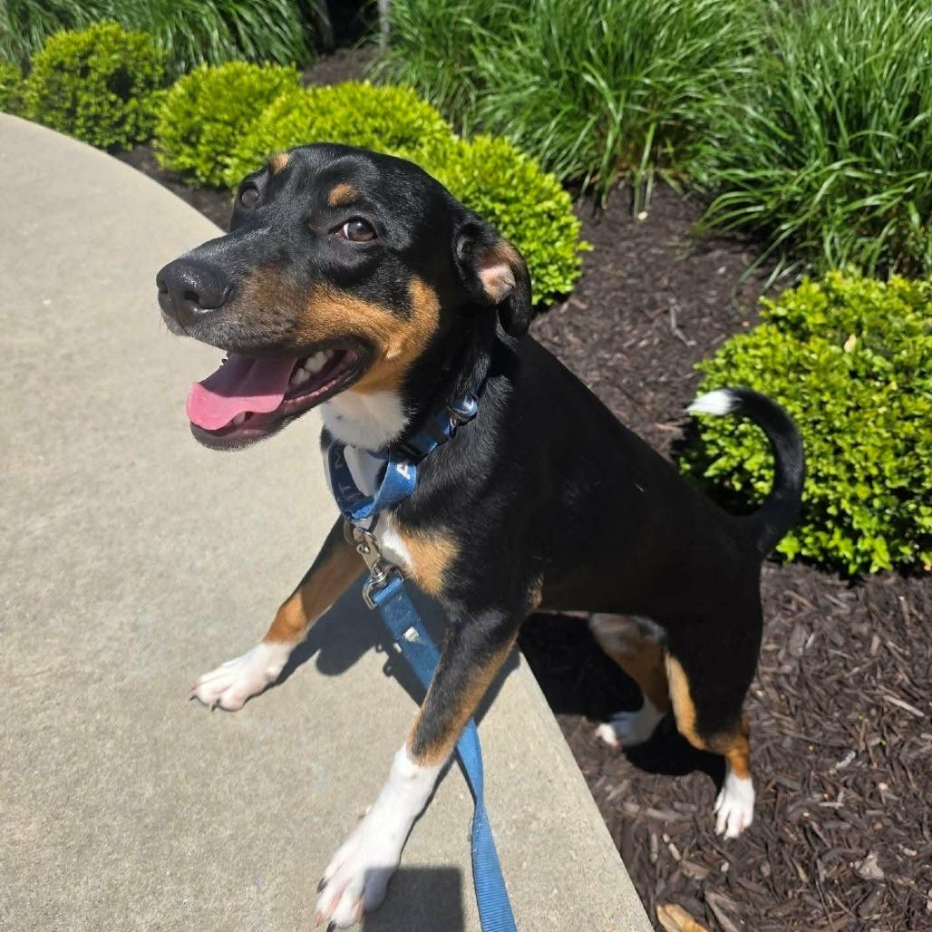 Max