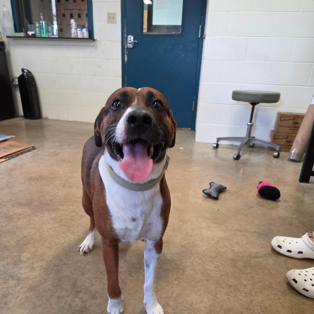 Rosco
