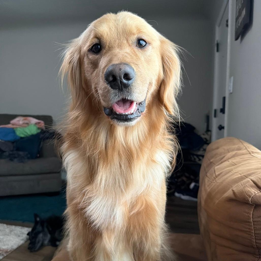 Waylon