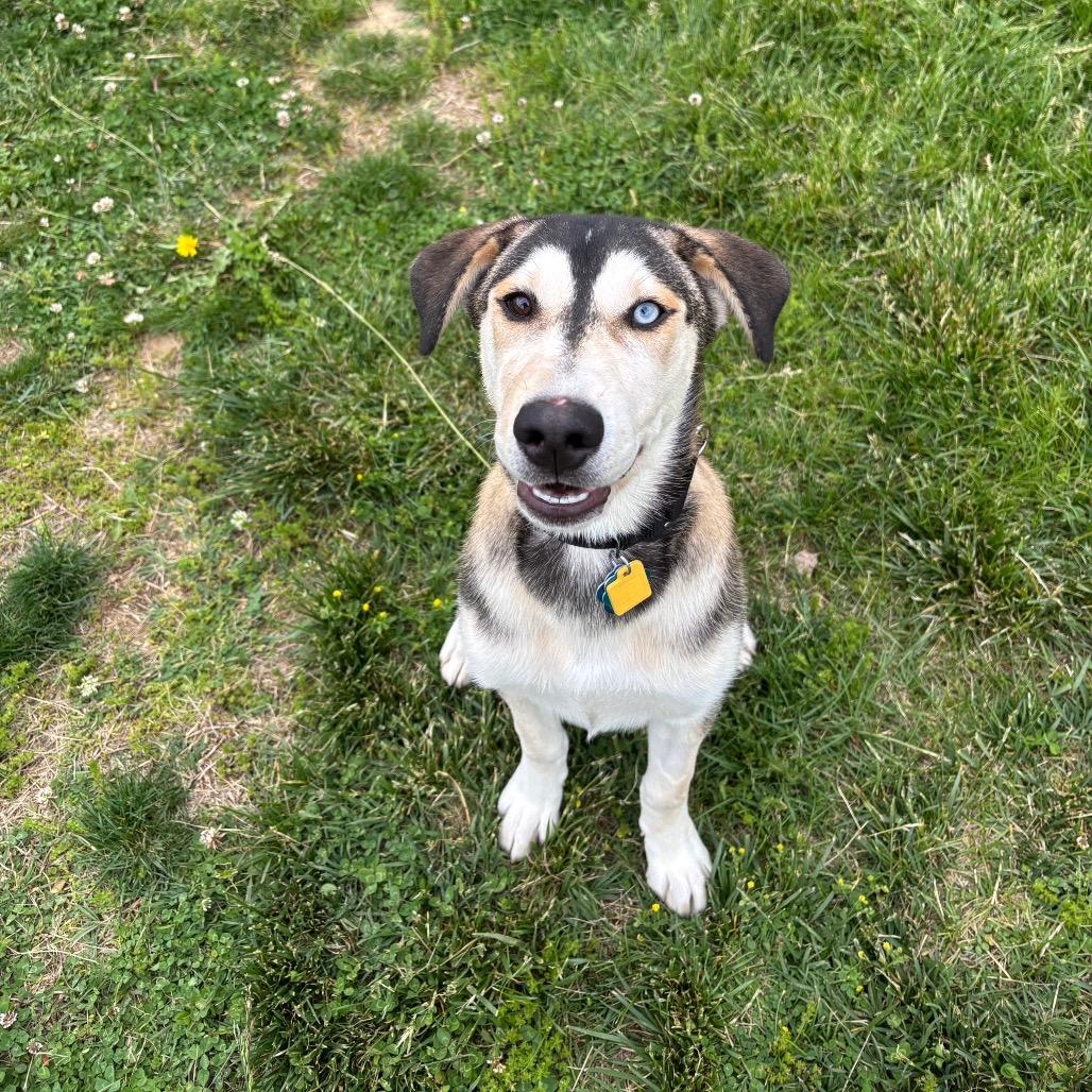Xena