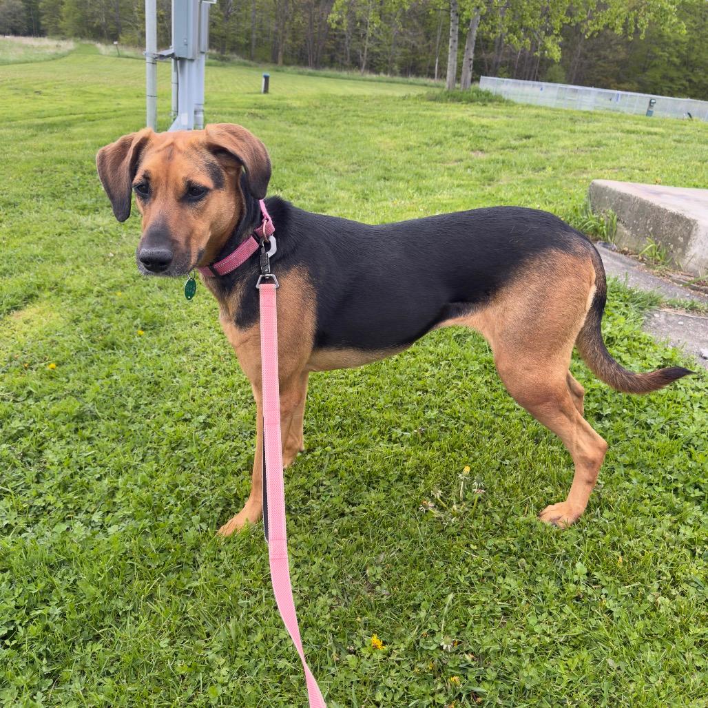 Juno