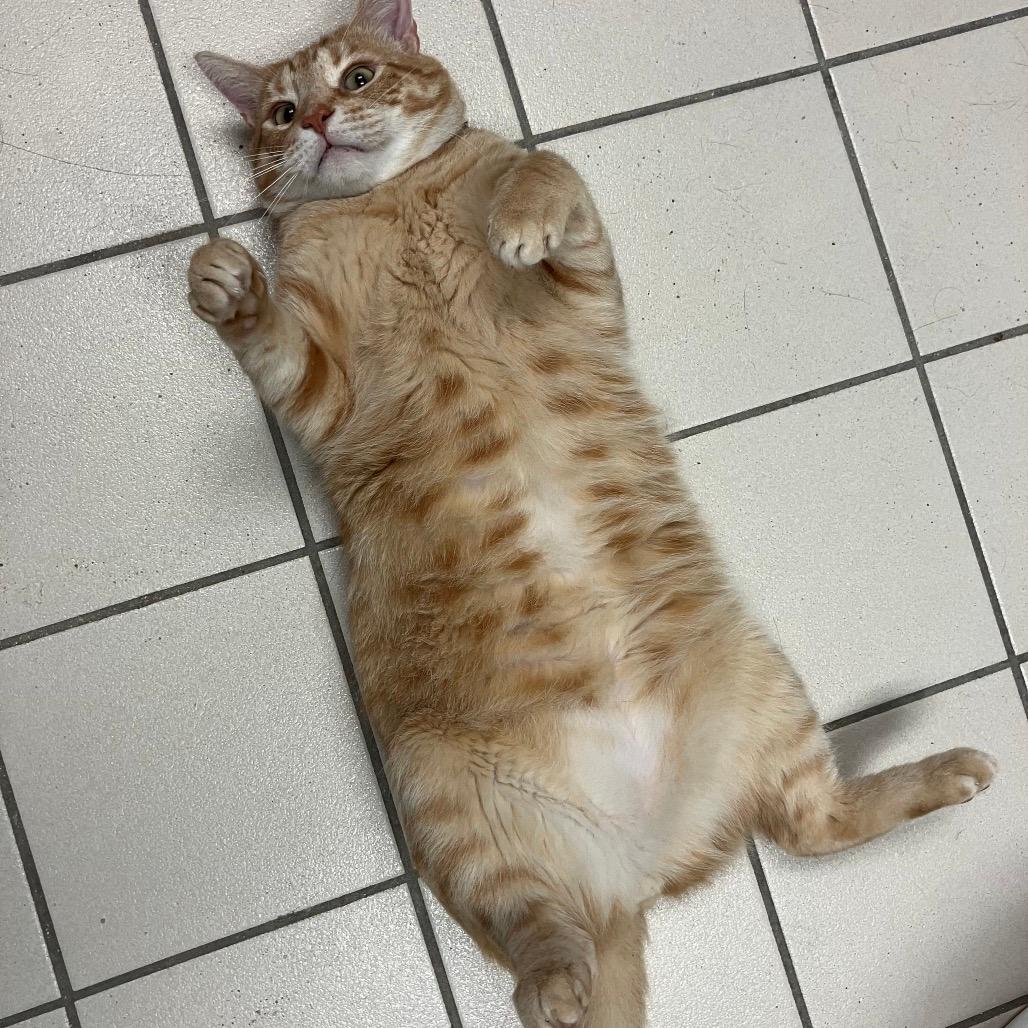 Charles