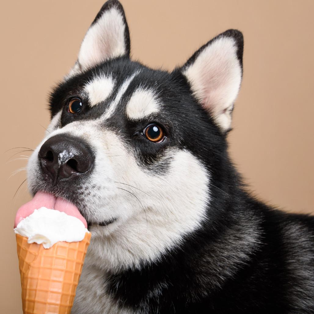 Balto