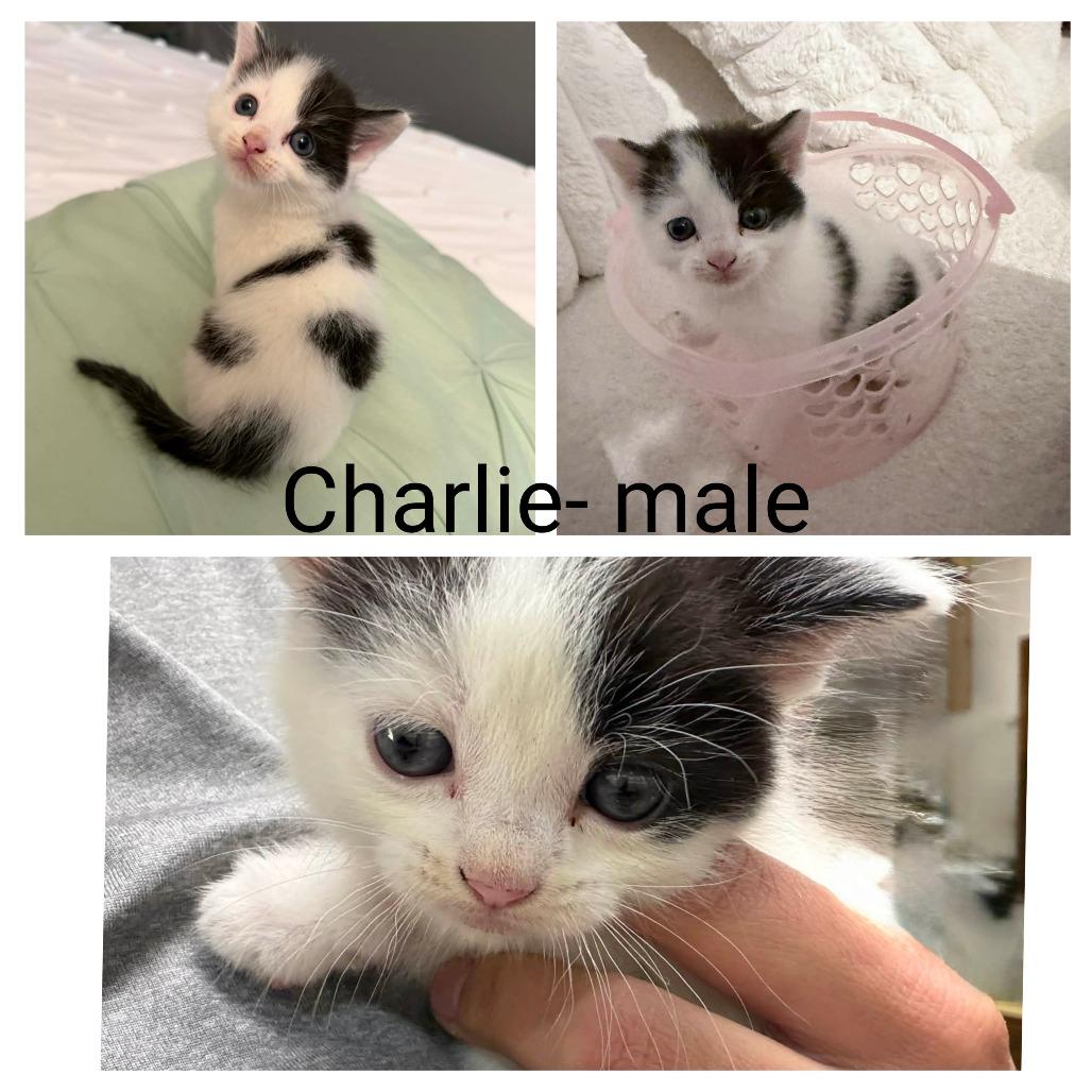 Charlie