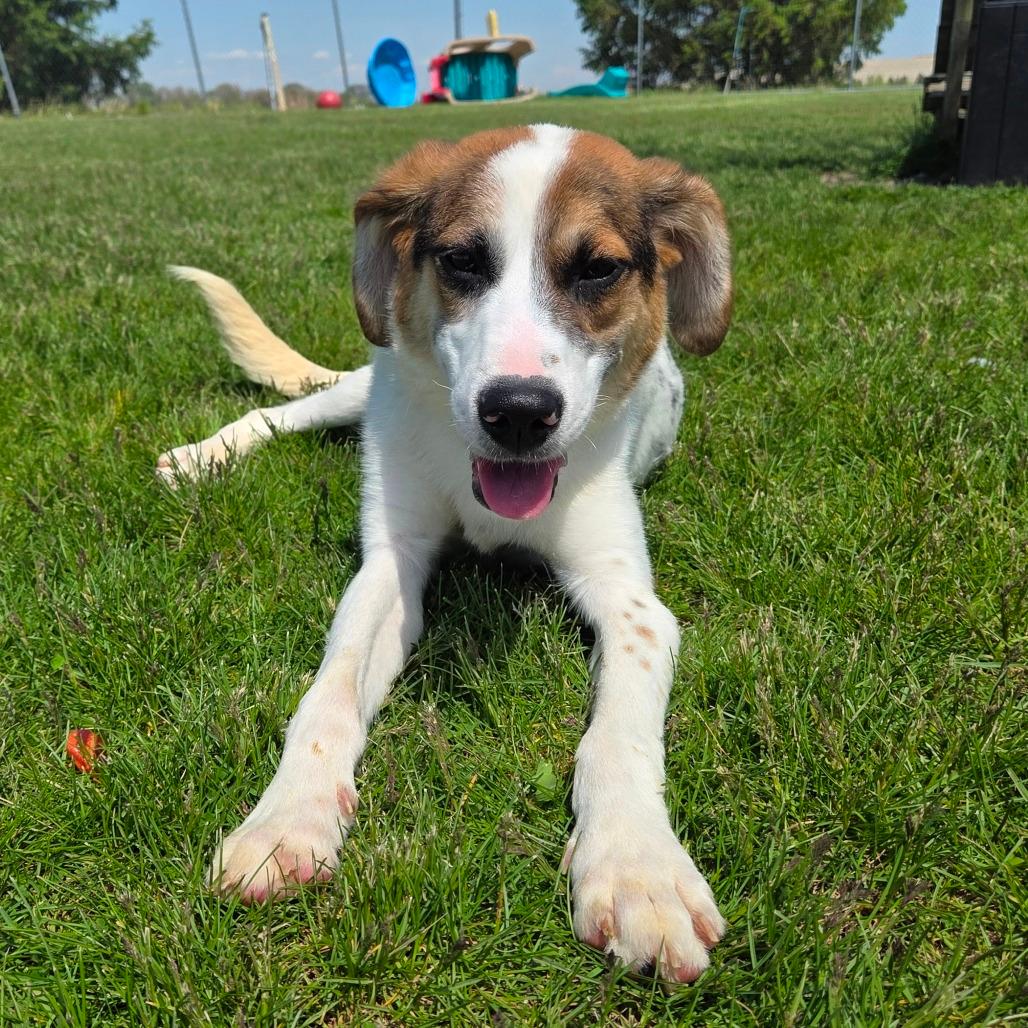 Finley 