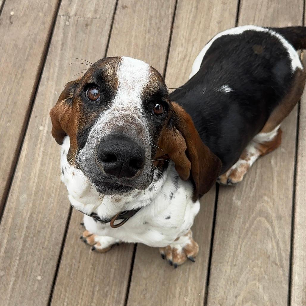 Bartholamew