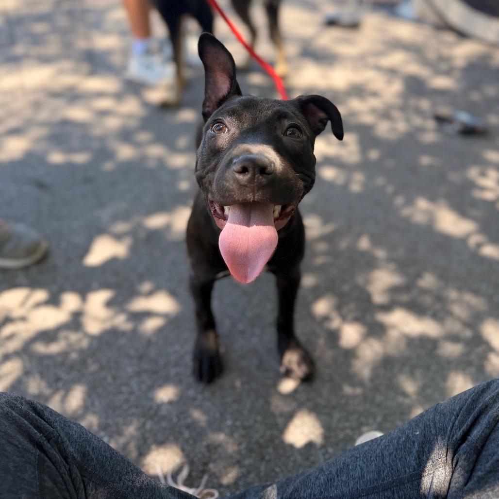 Luna