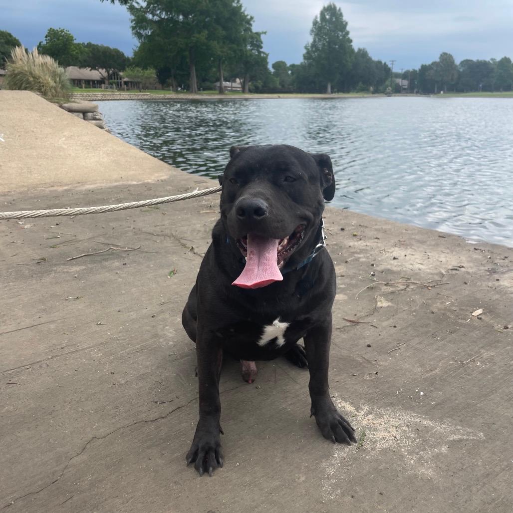 Kojak