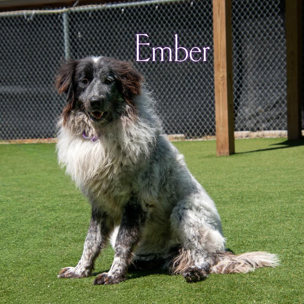 Ember (Tootie Fruitie)