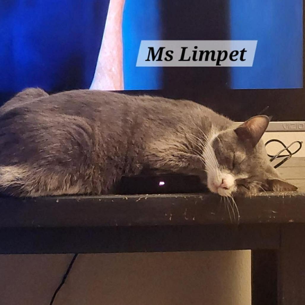Mrs. Limpet