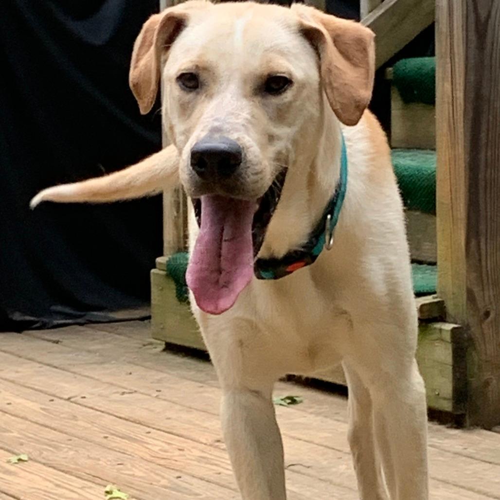 Max