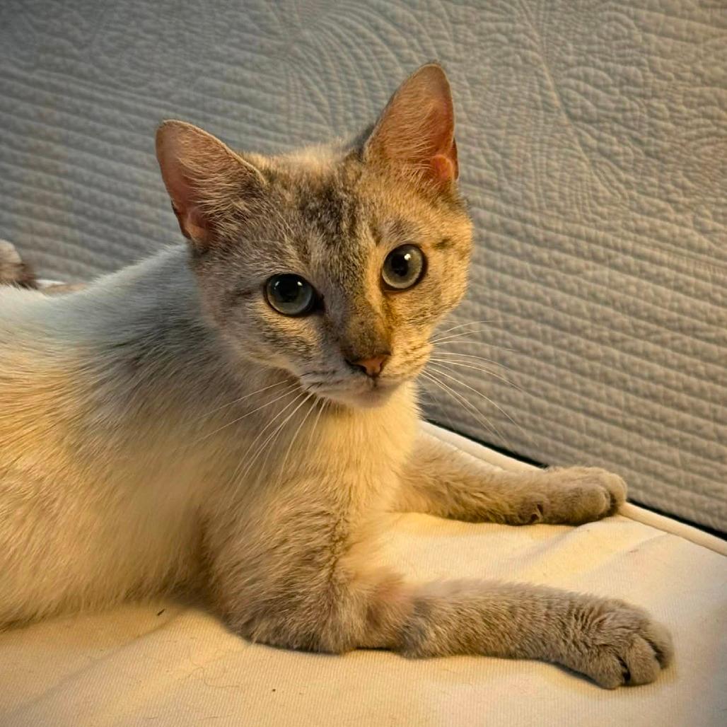Empress Serafina