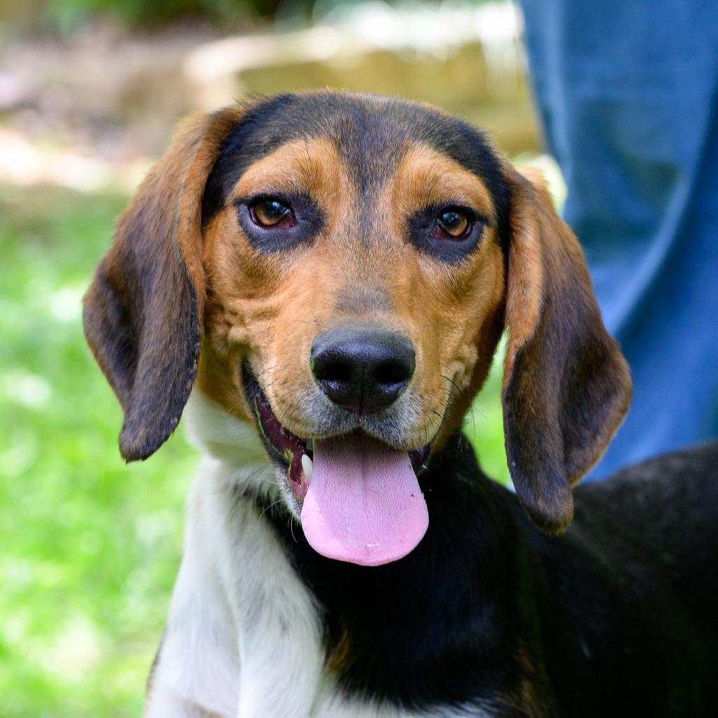 Max