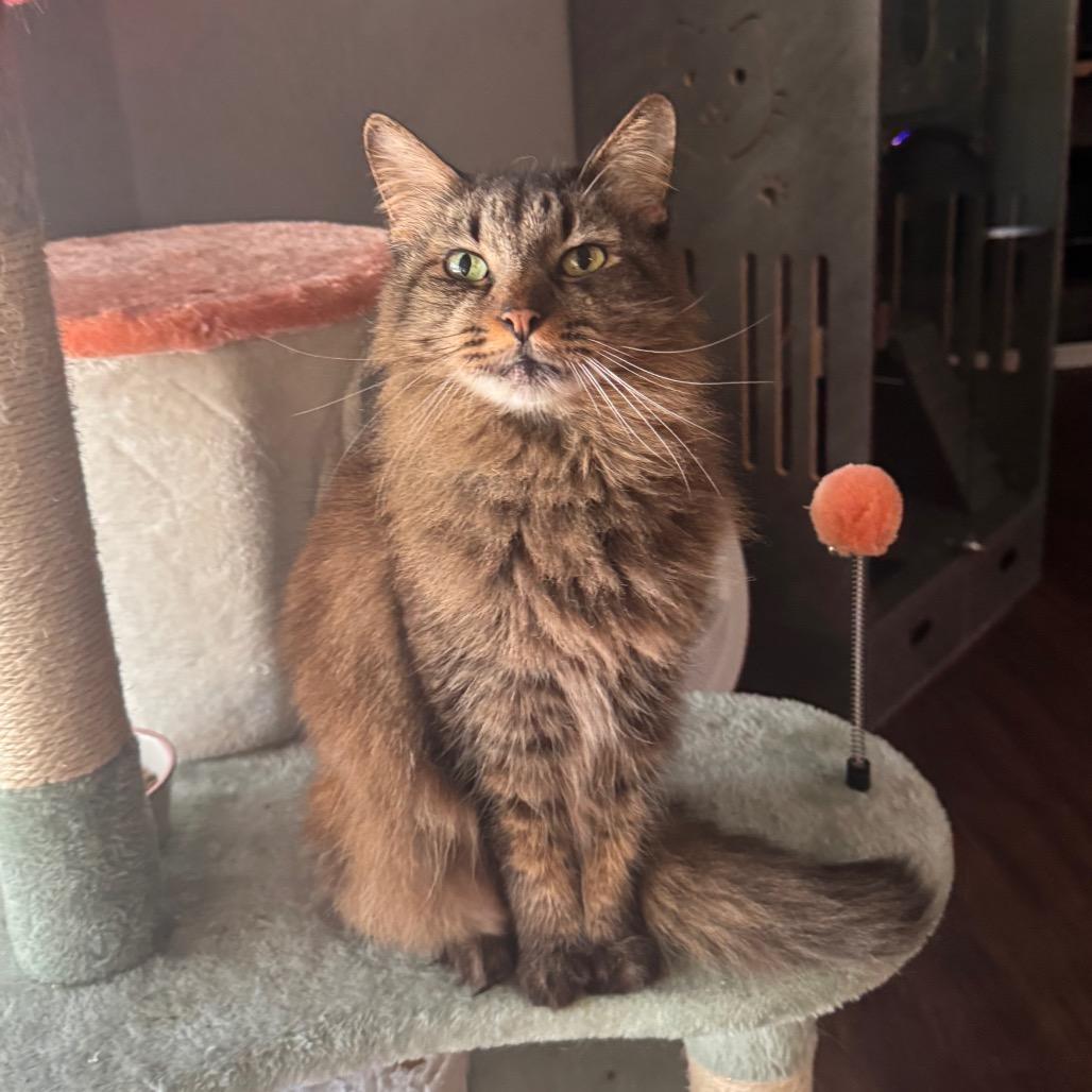 Sam