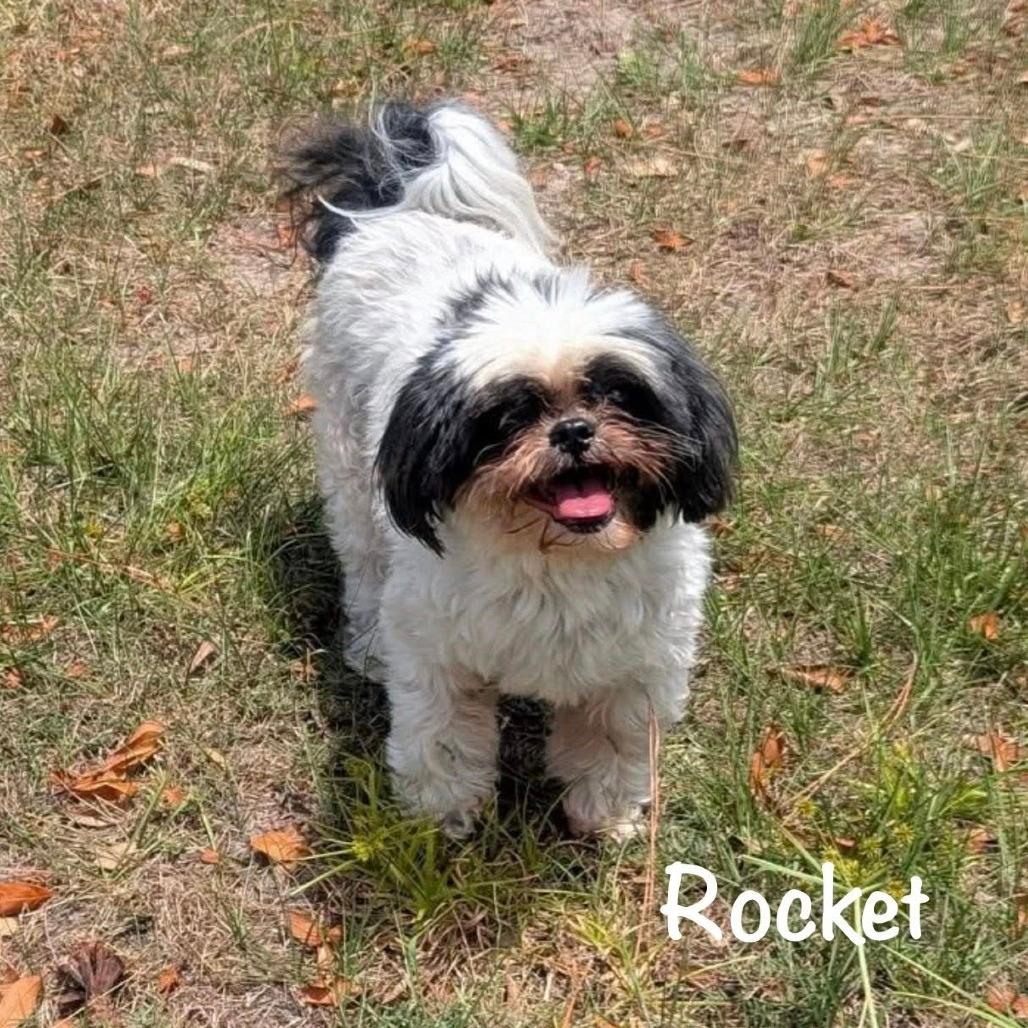 Rocket