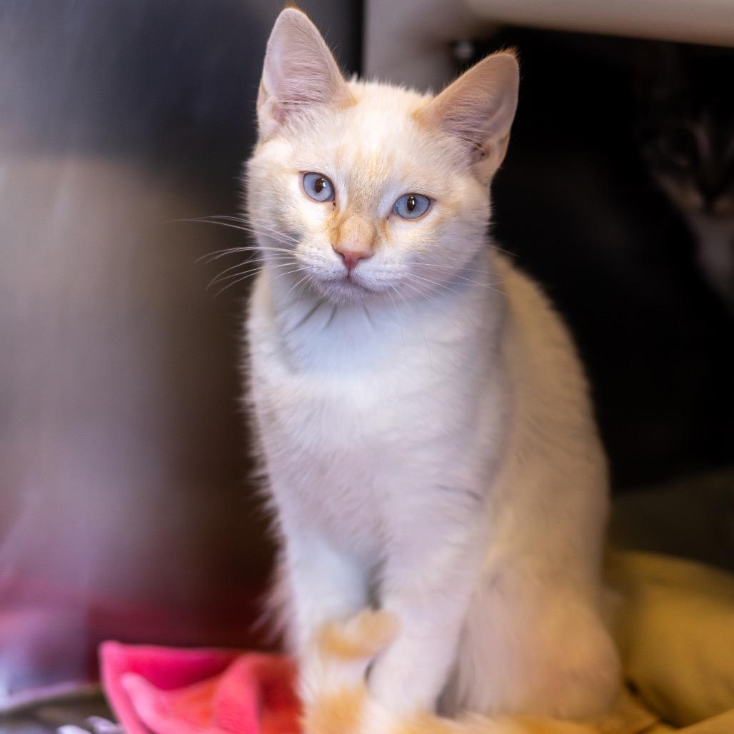 Nala (bonded with Kiera)