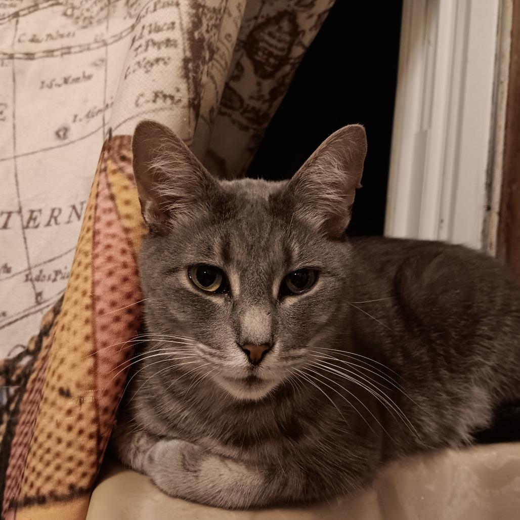 Mama