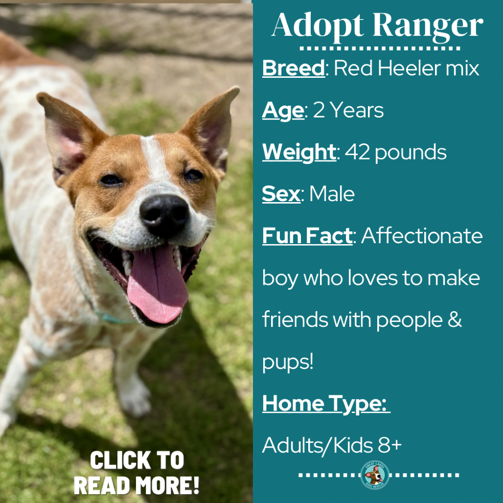 Ranger