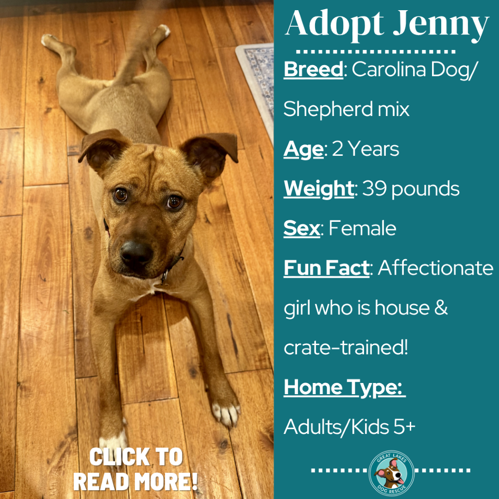 Jenny