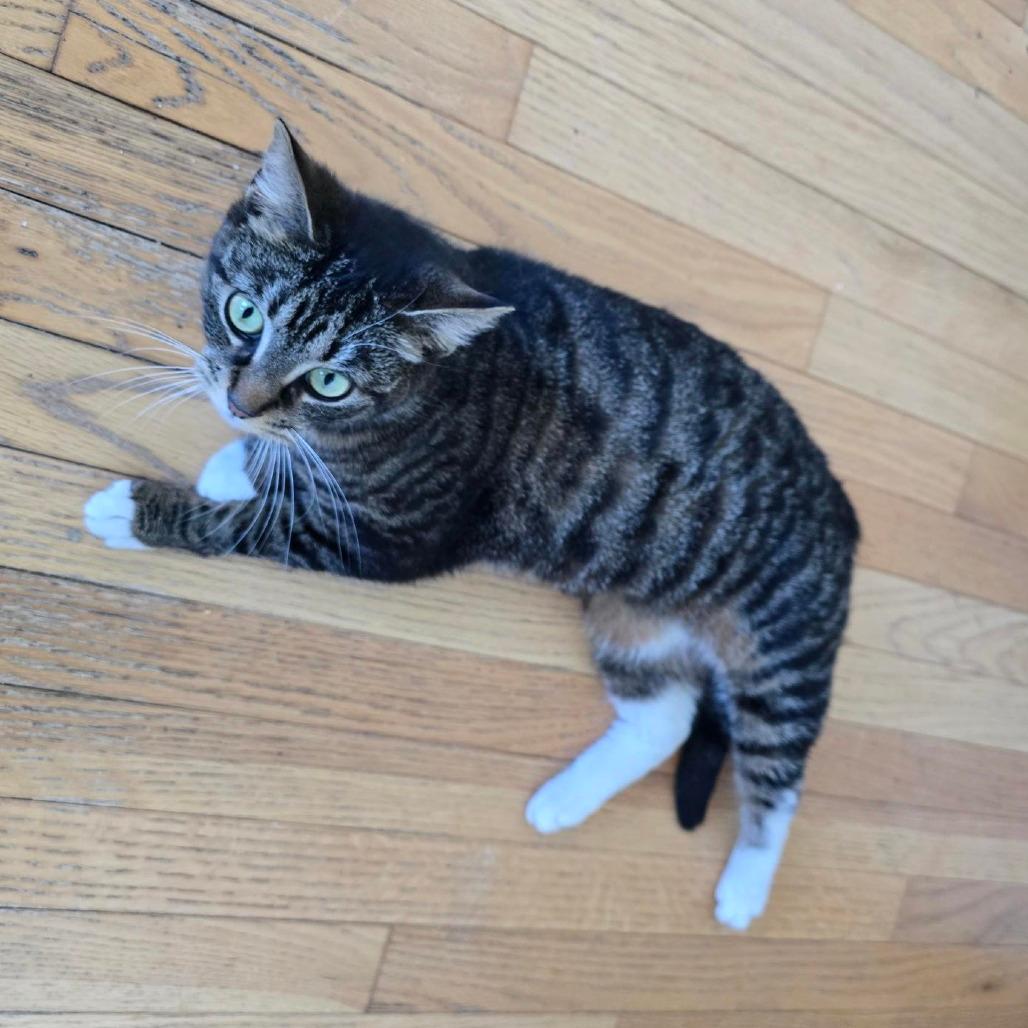 Tuna