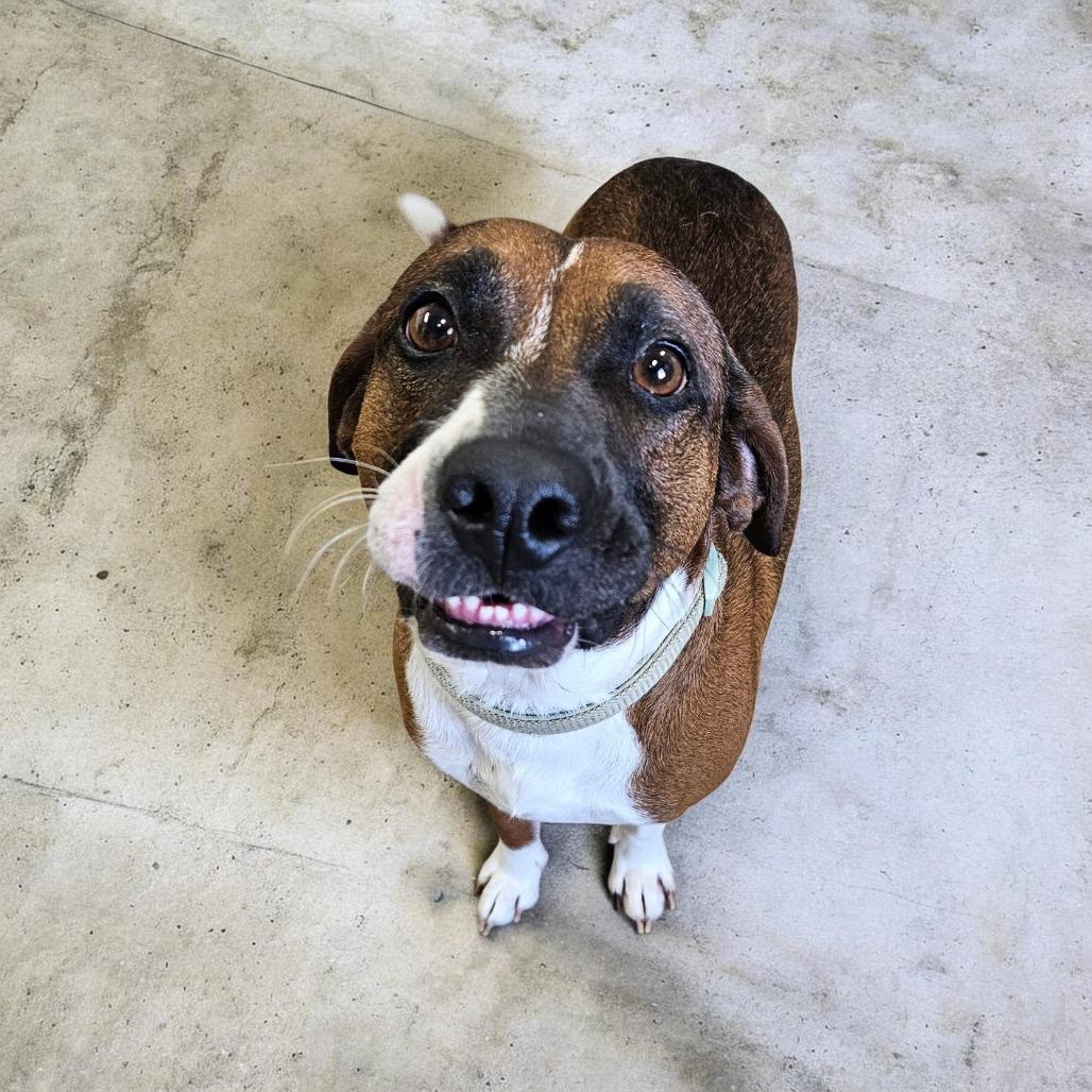 Rosco