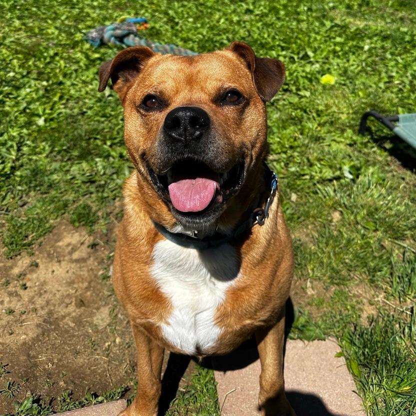 Bubba