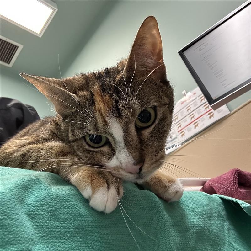 Fiona