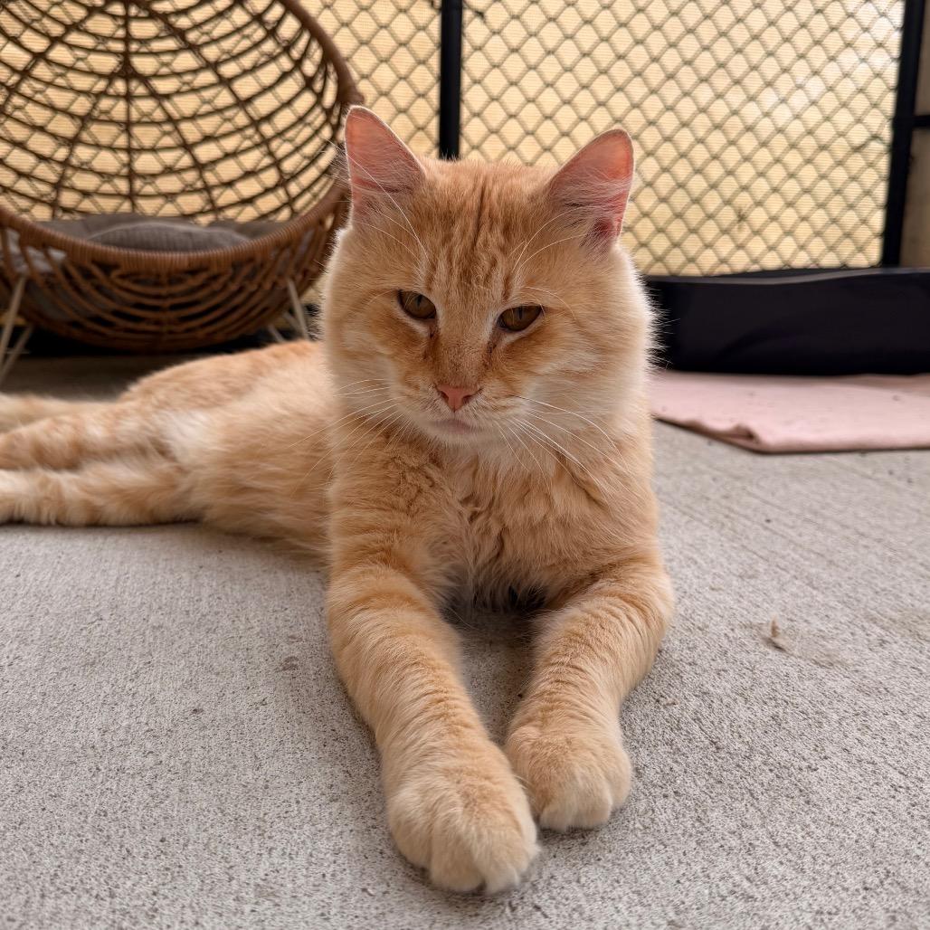 Sunny Boy 