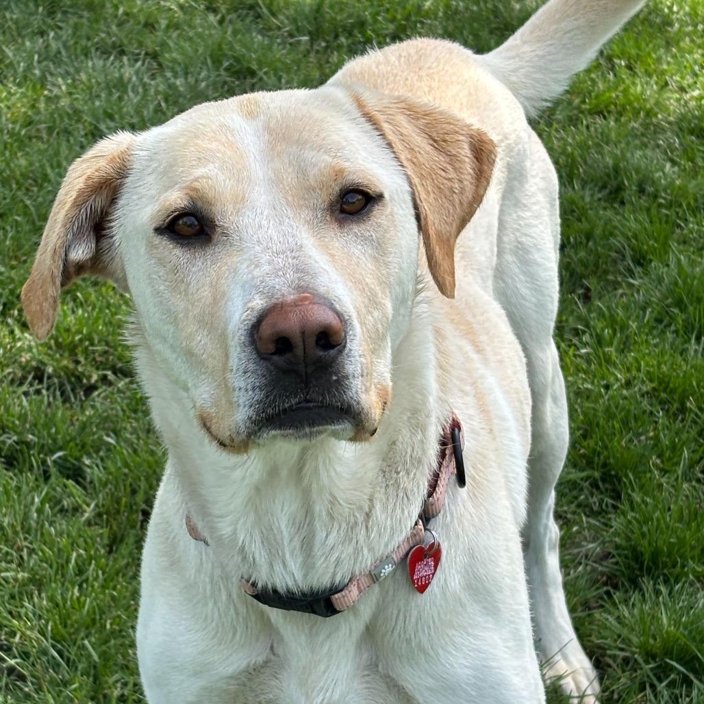 Juno