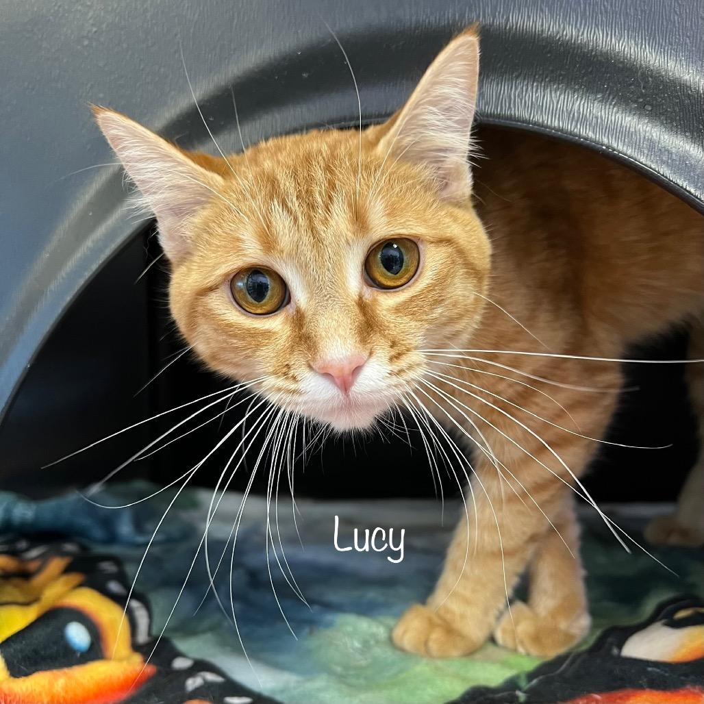 Lucy