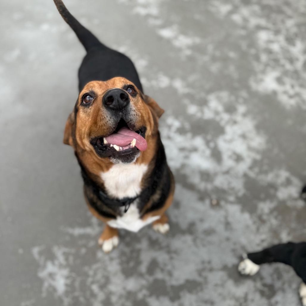 Leonard