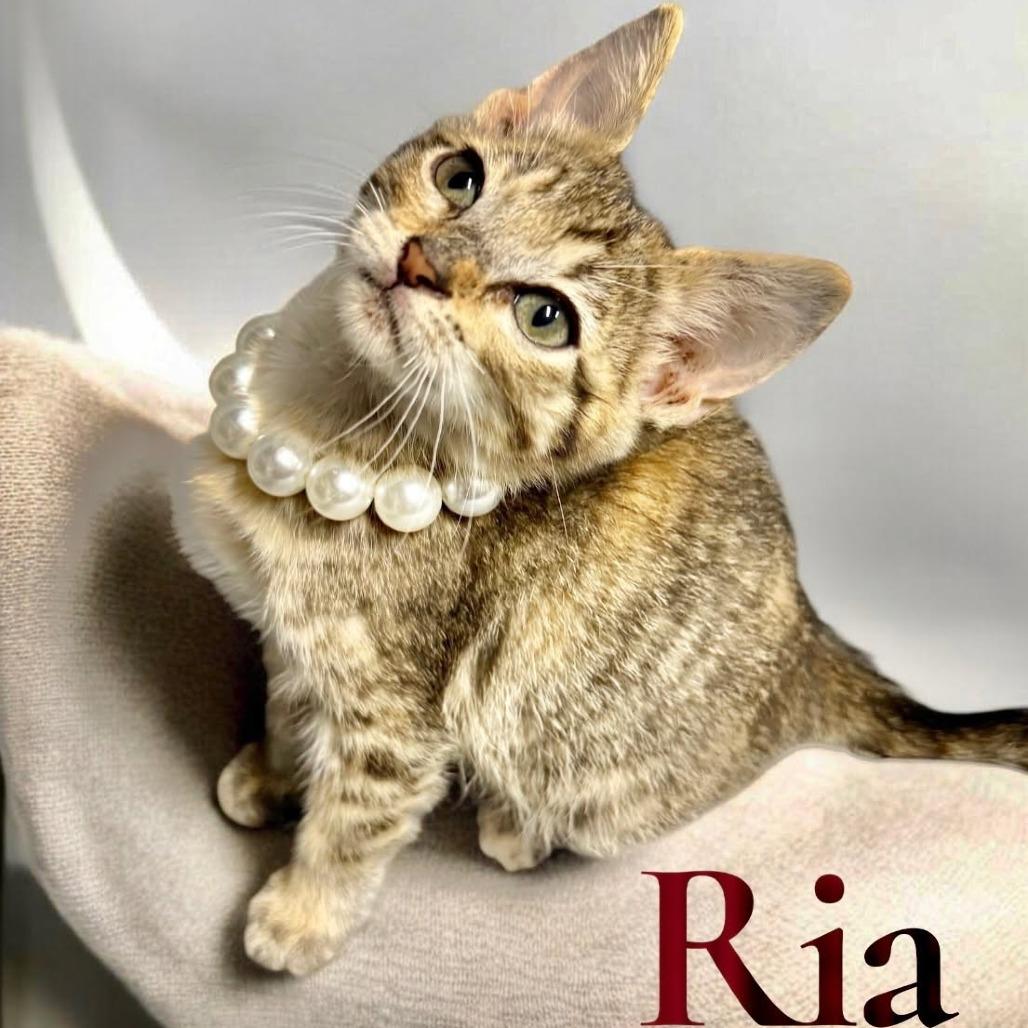Ria