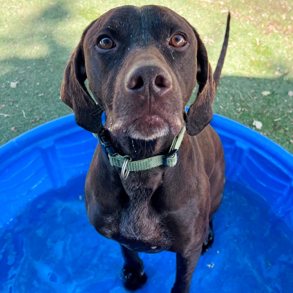 Milo