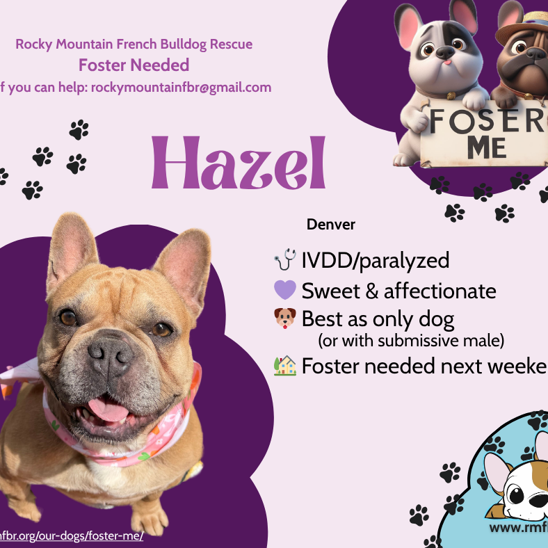 Hazel 