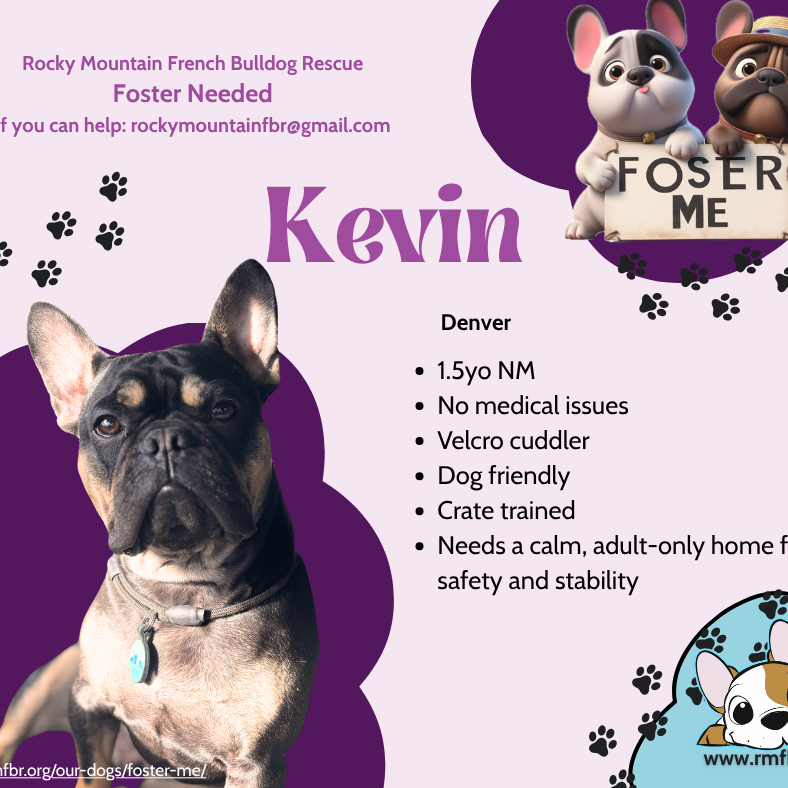 Kevin 