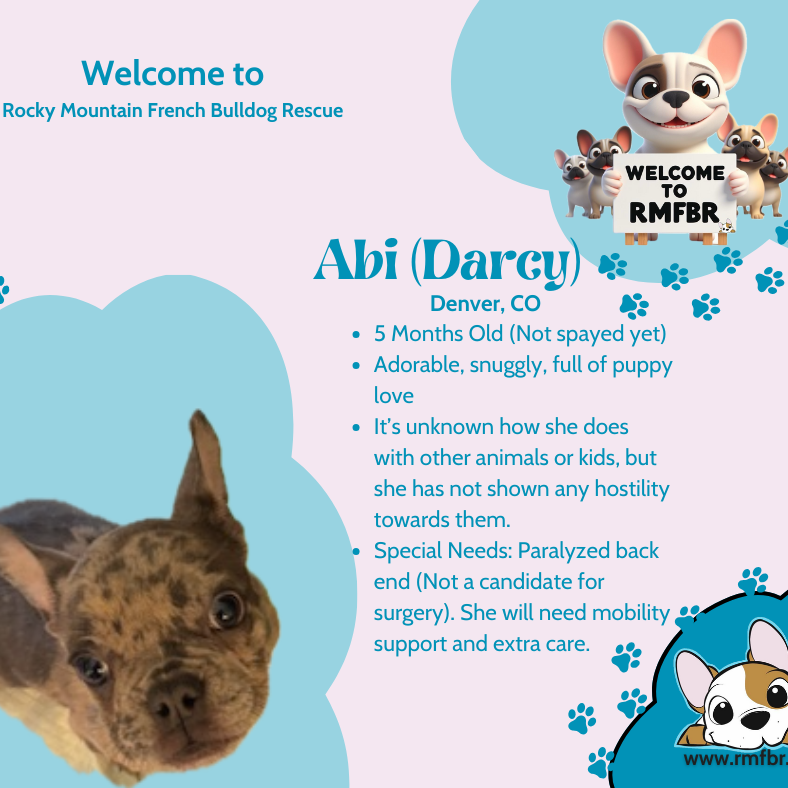 Abi (Darcy)