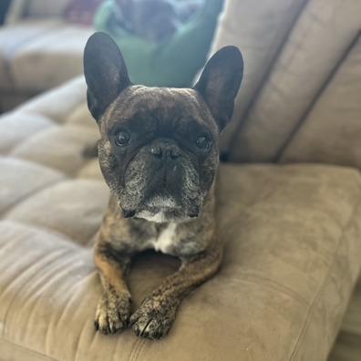 Geoffrey