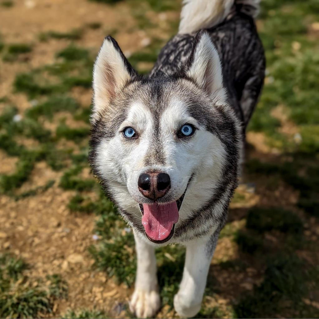 Mia