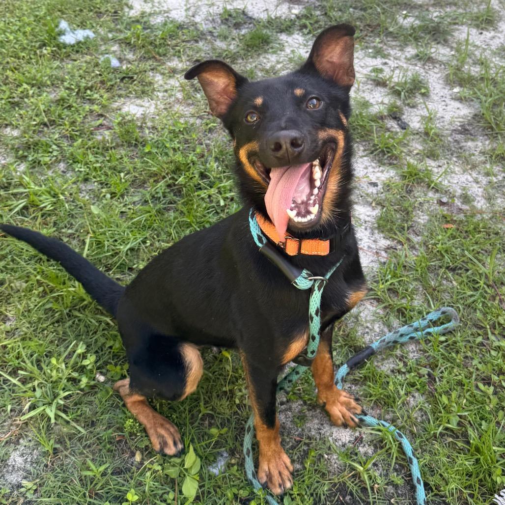 Tito